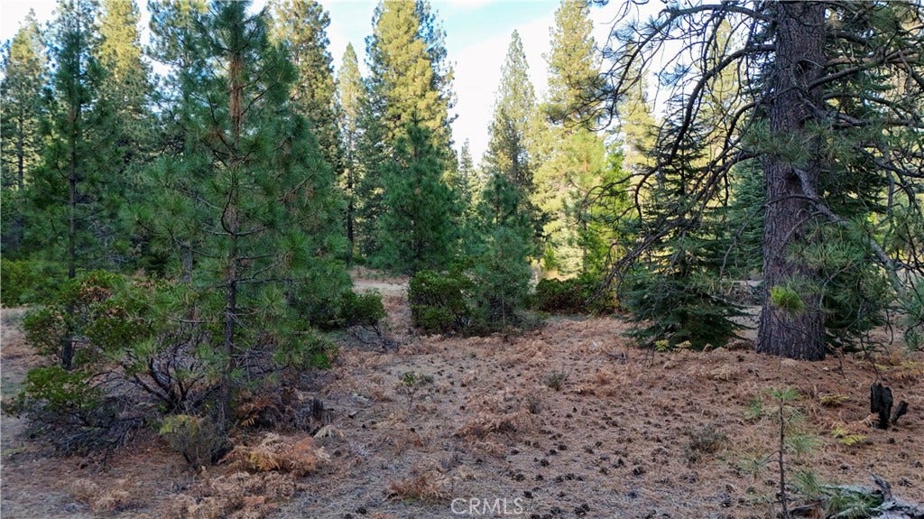 0 Shasta Cove, Weed, CA 96094