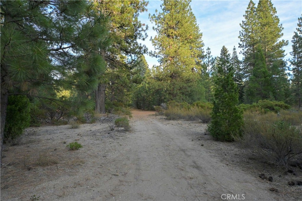 0 Shasta Cove, Weed, CA 96094