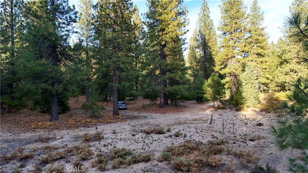 0 Shasta Cove, Weed, CA 96094