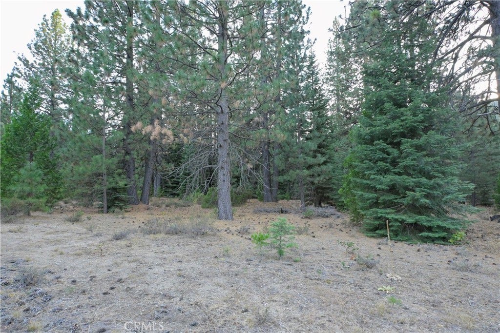 0 Shasta Cove, Weed, CA 96094