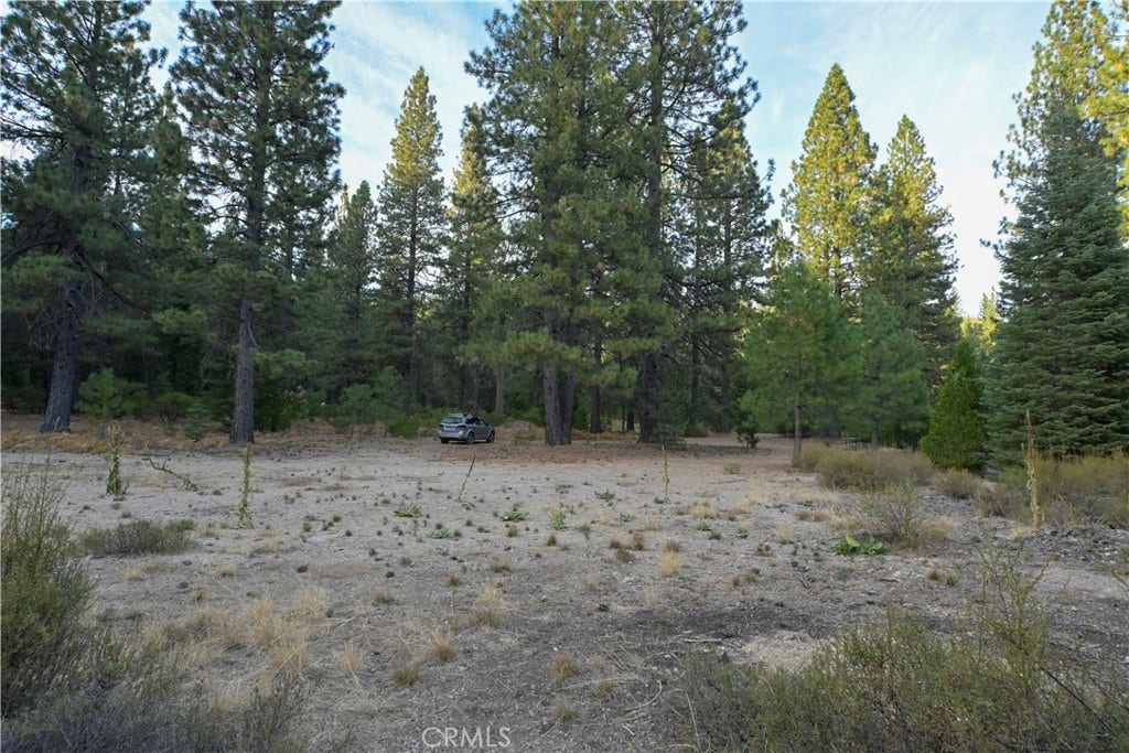 0 Shasta Cove, Weed, CA 96094