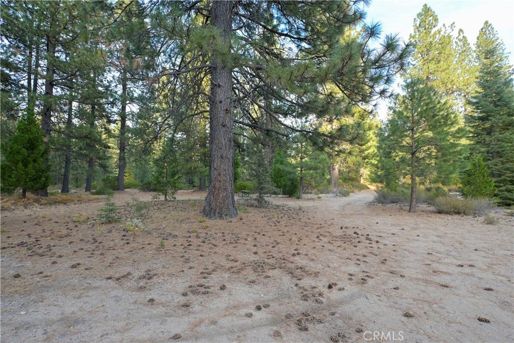 0 Shasta Cove, Weed, CA 96094