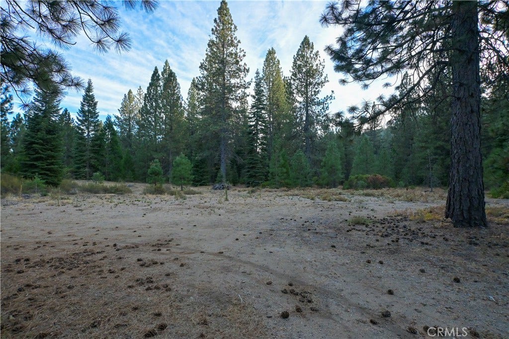 0 Shasta Cove, Weed, CA 96094