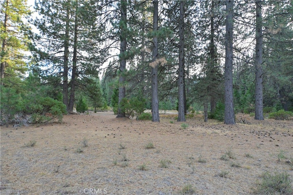 0 Shasta Cove, Weed, CA 96094