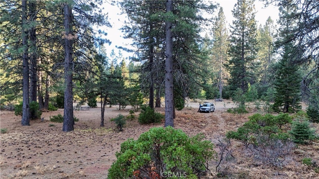 0 Shasta Cove, Weed, CA 96094