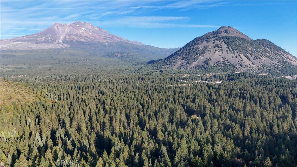 0 Shasta Cove, Weed, CA 96094