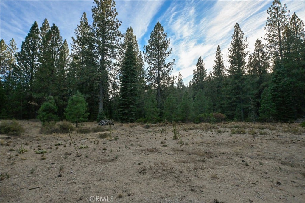 0 Shasta Cove, Weed, CA 96094