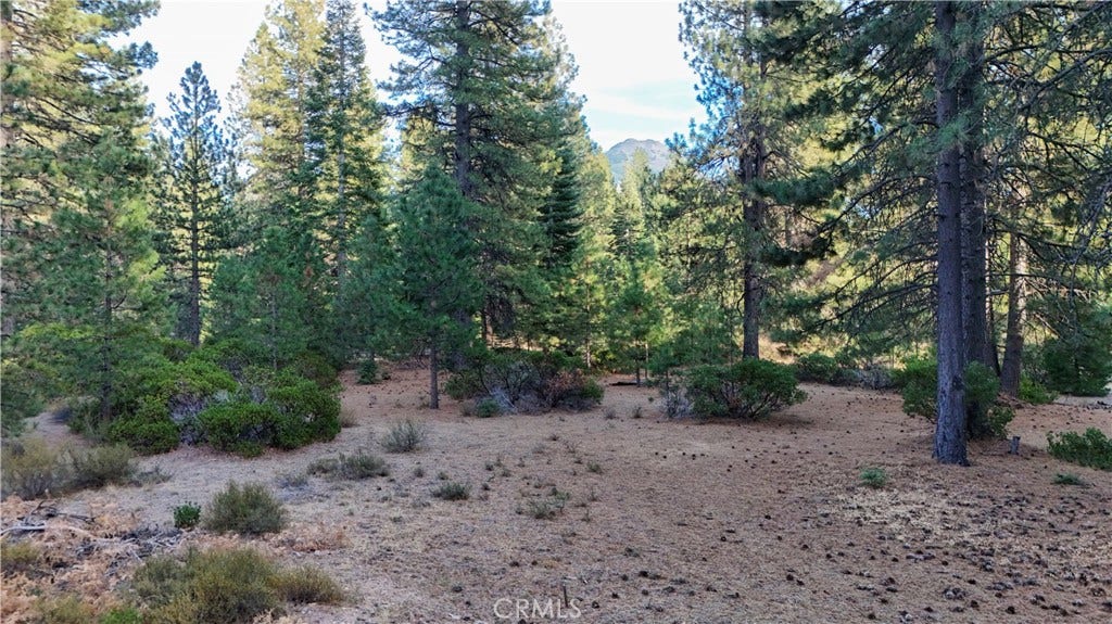 0 Shasta Cove, Weed, CA 96094