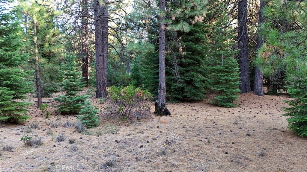 0 Shasta Cove, Weed, CA 96094