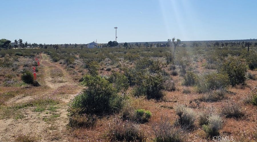 Property photo for 0 Vac/Vic Pb Hwy/184 Ste, Black Butte, CA
