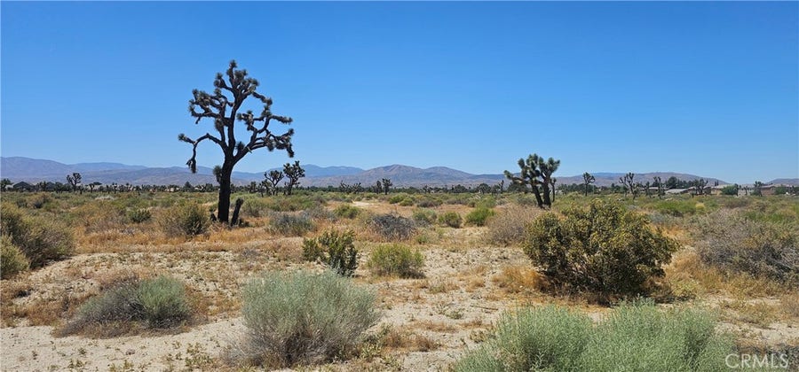 Property photo for 0 E Palmdale Boulevard, Palmdale, CA
