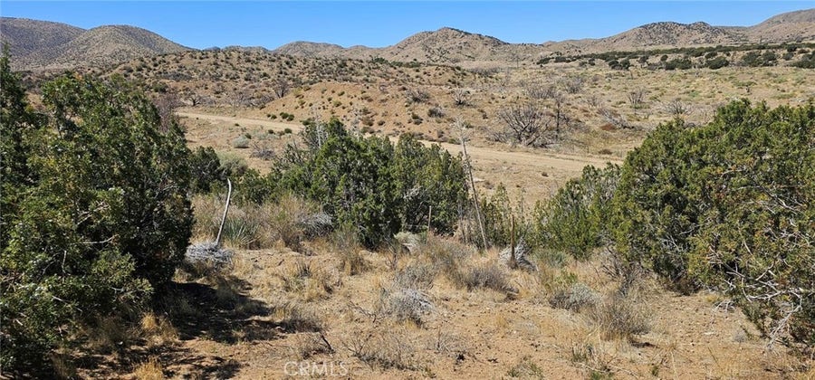 Property photo for 0 98th Street E, Juniper Hills, CA