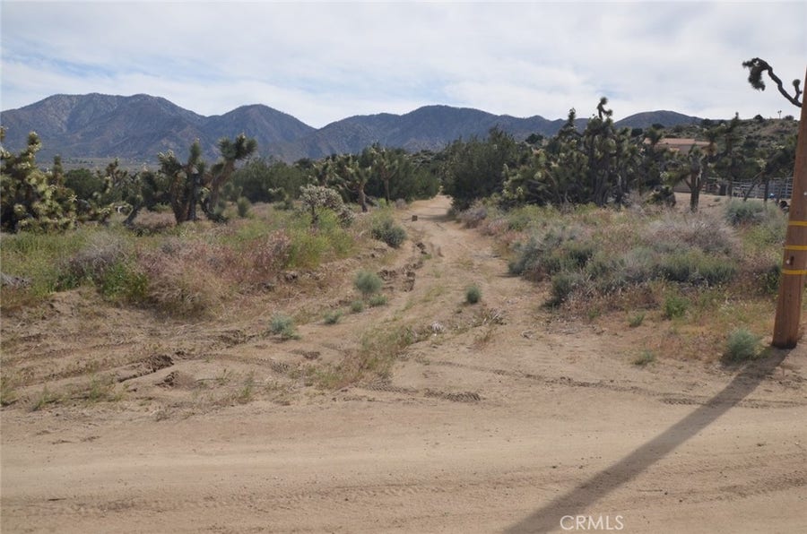Property photo for 0 Longview x Old Homestead, Juniper Hills, CA