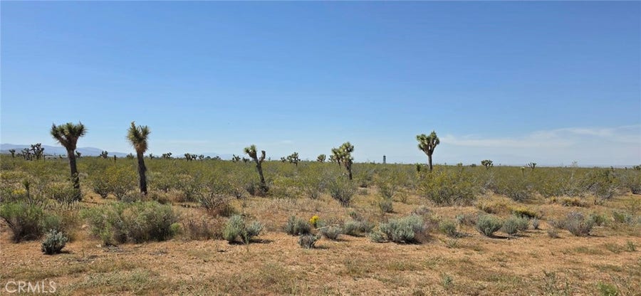 Property photo for 0 173rd E W-12, Llano, CA