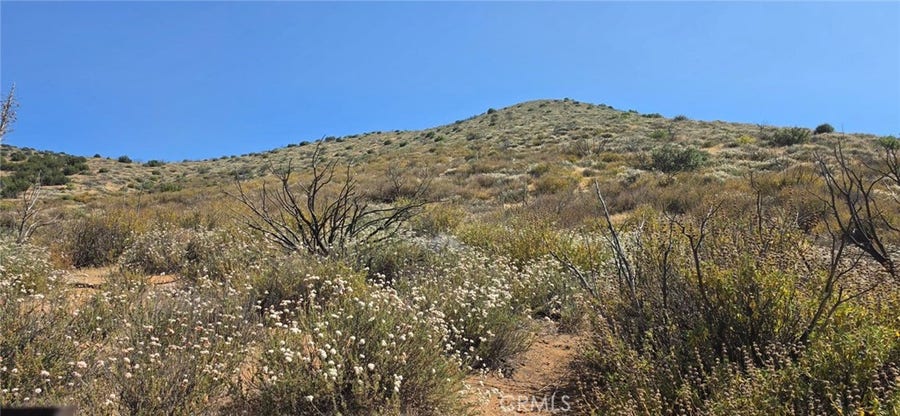 Property photo for 0 Madison, Agua Dulce, CA