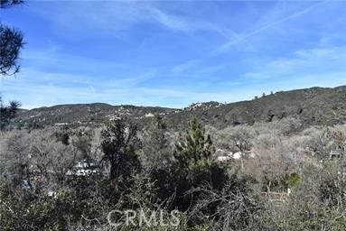 Property photo for 1 Vac/Austin Way/Sylvan Drive, Lake Hughes, CA