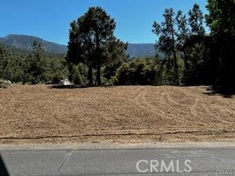 Property photo for 2045 Woodland Drive, Pine Mountain Club, CA