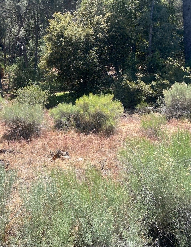 Property photo for 13708 Yellowstone, Frazier Park, CA
