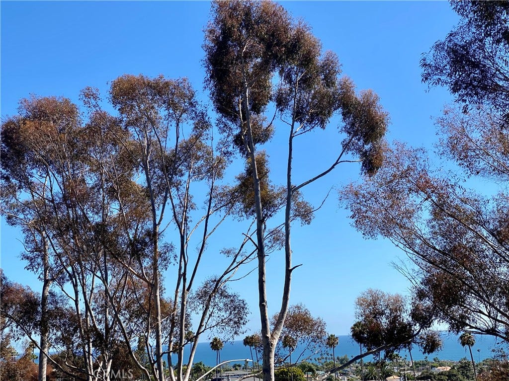 15 Vista Encanta, #15, San Clemente, CA 92672
