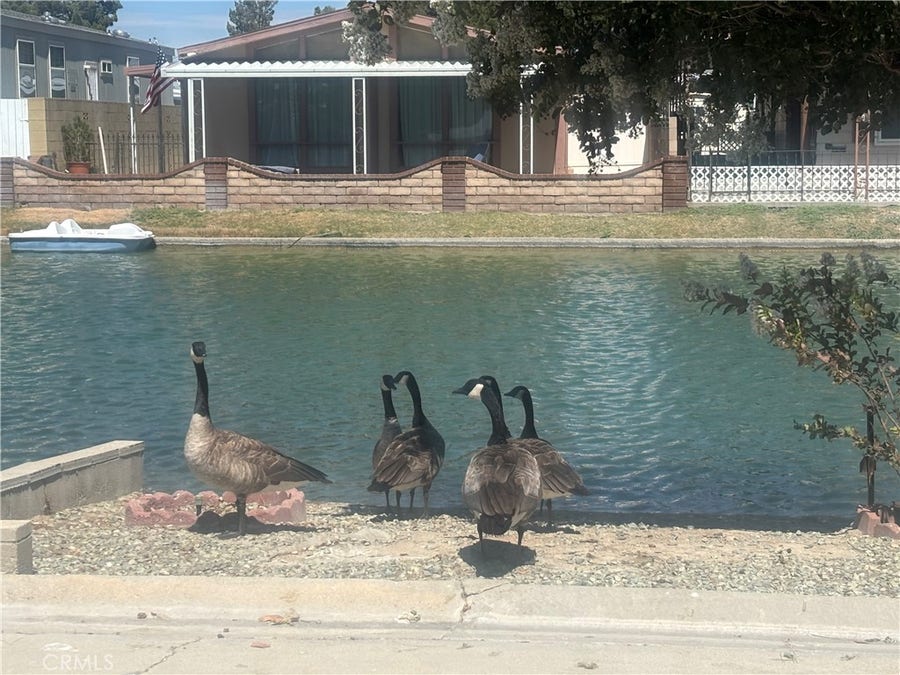 Property photo for 48303 20th Street W, #85, Lancaster, CA