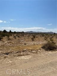 Property photo for 0 NE Ledbiry, Oro Grande, CA