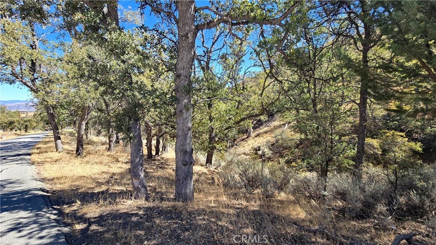 Property photo for 0 Saint Moritz Drive, Tehachapi, CA