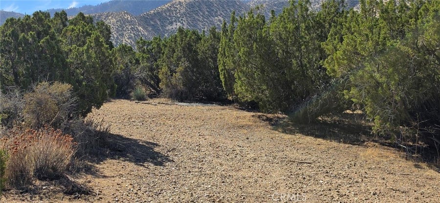 Property photo for 0 121st, Juniper Hills, CA