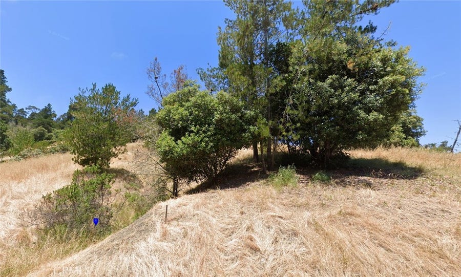 Property photo for 0 London Lane, Cambria, CA