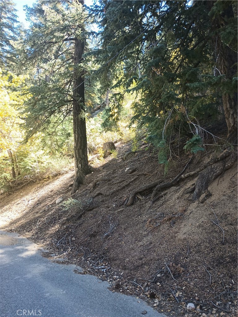 Property photo for 0 Cherry, Big Bear Lake, CA