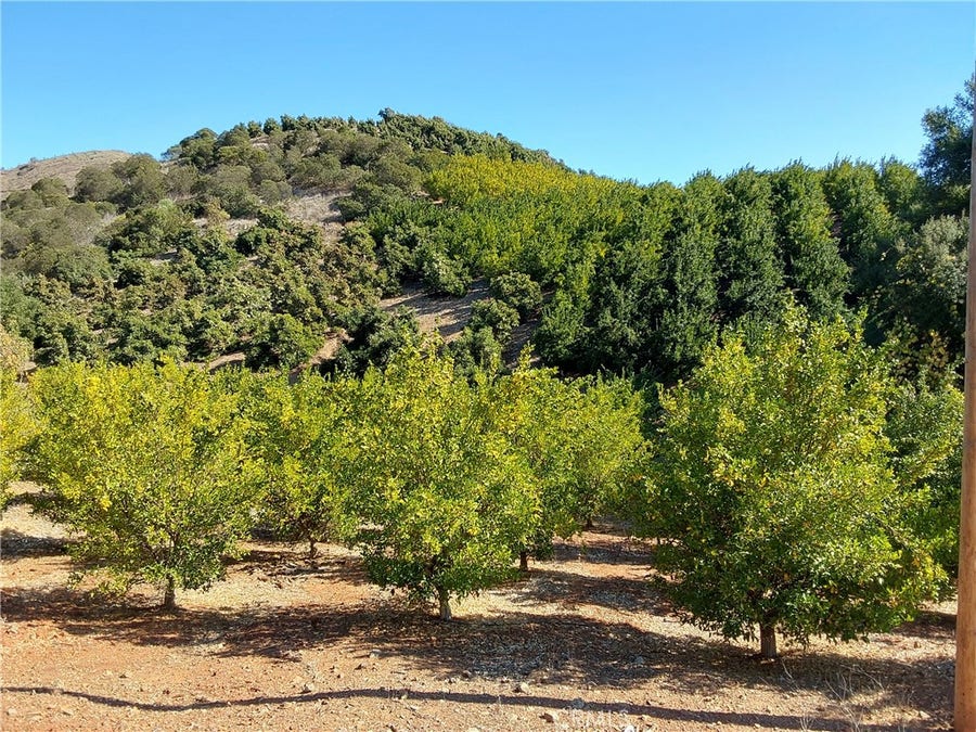 Property photo for 3 Via Vaquero, Temecula, CA