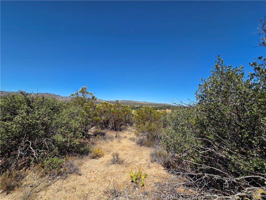 Property photo for 1 Terwilliger, Anza, CA