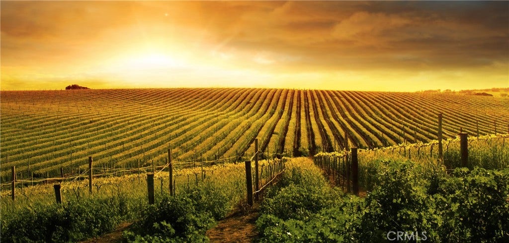 Just minutes from Temecula Wine Country