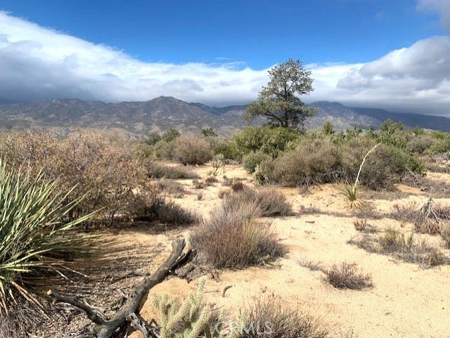 Property photo for 368 Palm Canyon Drive, Mountain Center, CA