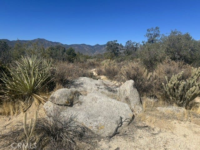 Property photo for 319 Alpine Dr, Mountain Center, CA