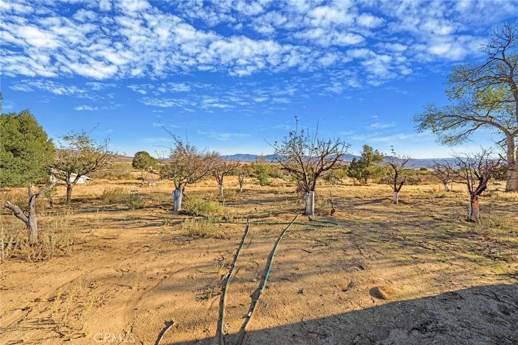56575 Dickson Way, Anza, CA 92539