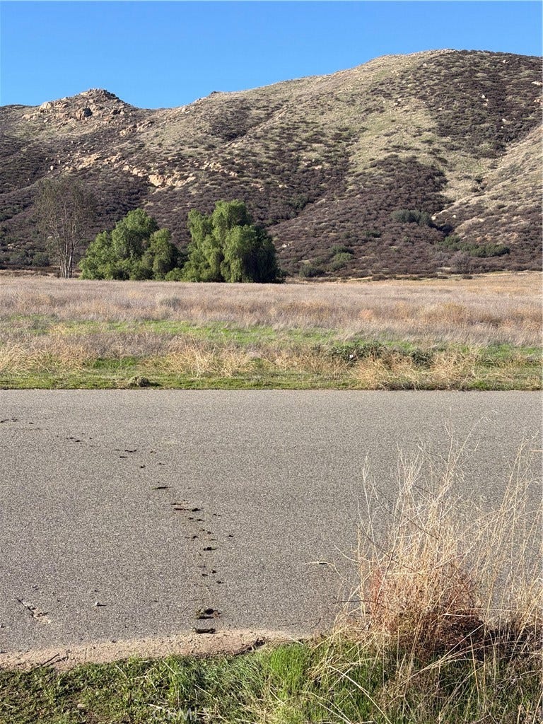 Property photo for 0 Green Canyon Street, Hemet, CA