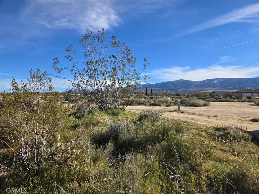 Property photo for 0 Mountain Road, Pinon Hills, CA