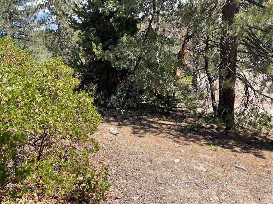 Property photo for 0 Arrowbear, Running Springs, CA