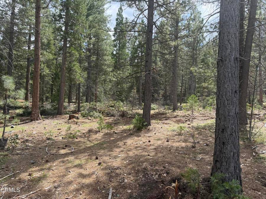 Property photo for 16 Chad Court, Burney, CA