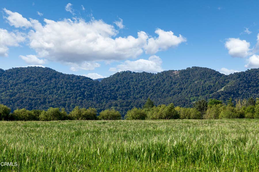 Property photo for 0 White Oak Road, Santa Ynez, CA