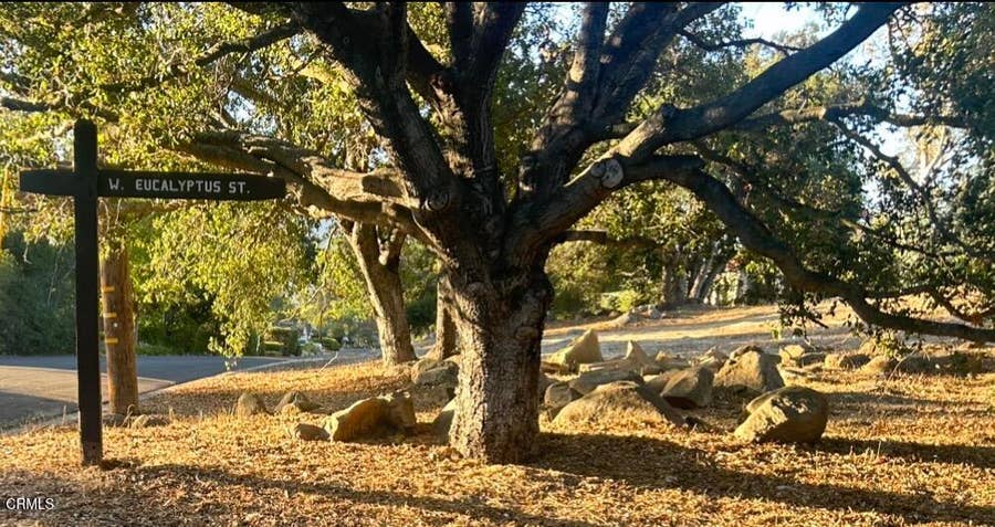 Property photo for 501 W Eucalyptus Street, Ojai, CA