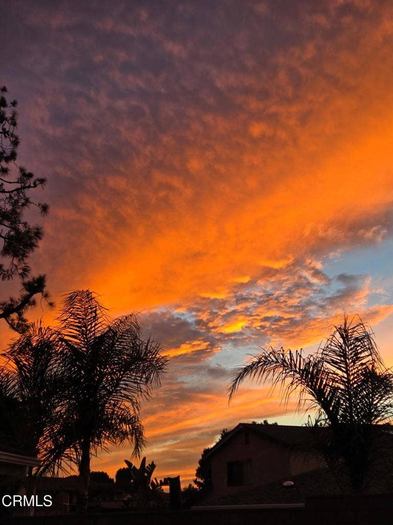 2661 Waverly Avenue, Camarillo, CA 93010 Backyard3