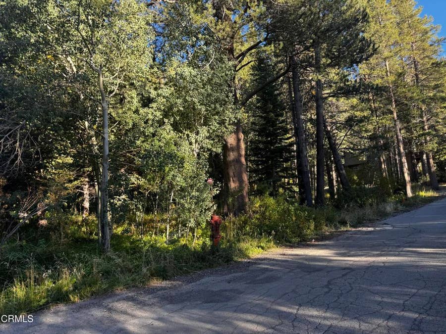 Property photo for Minaret Road, June Lake, CA