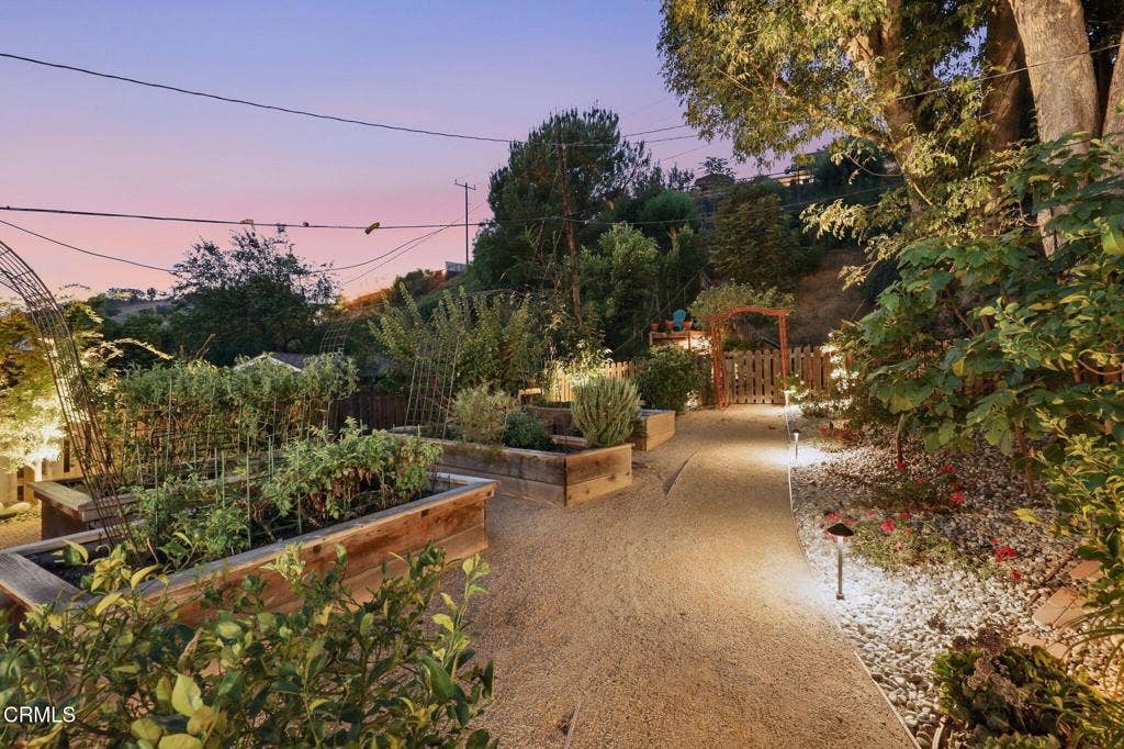 Garden at sunset