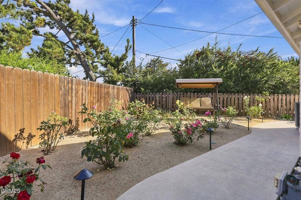 Rose garden outside dining area