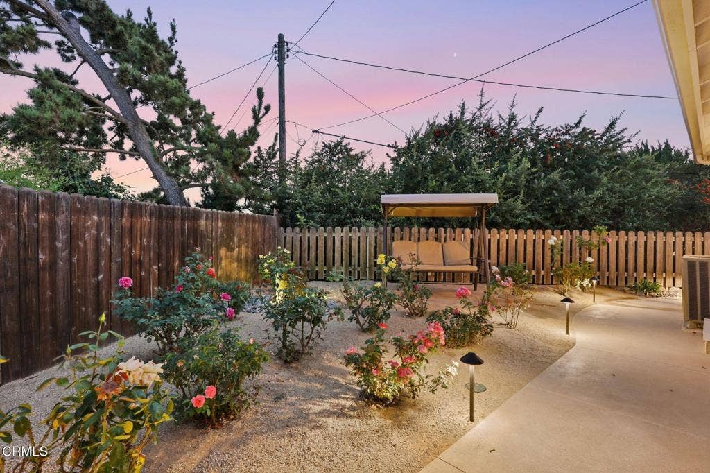 Rose garden at sunset