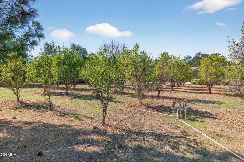 72-web-or-mls-UpmarketMedia-1125Spr-205