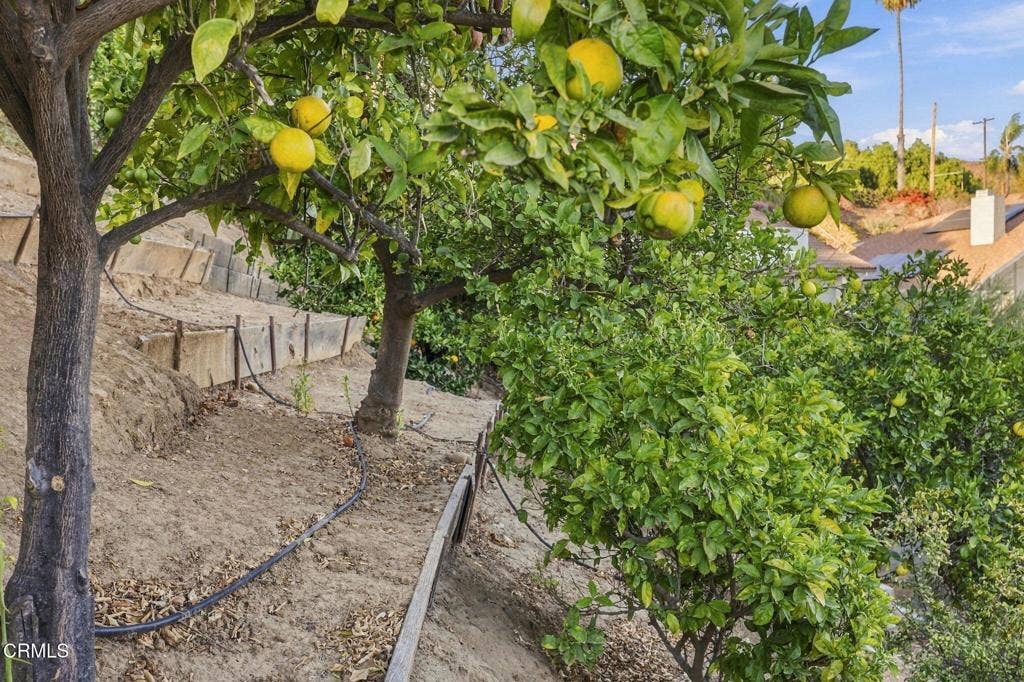 379 McGill Avenue, Ventura, CA 93003 88-web-or-mls-379_McGill_Ave_Ventura_CA_