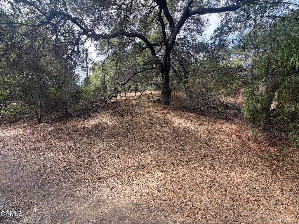 0 APN #0310070240, Oak View, CA 93022 7,840 sq ft. lot 2