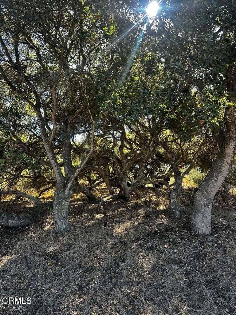 1990 Tularosa Road #4, Lompoc, CA 93436 20261014031200385497000000-o